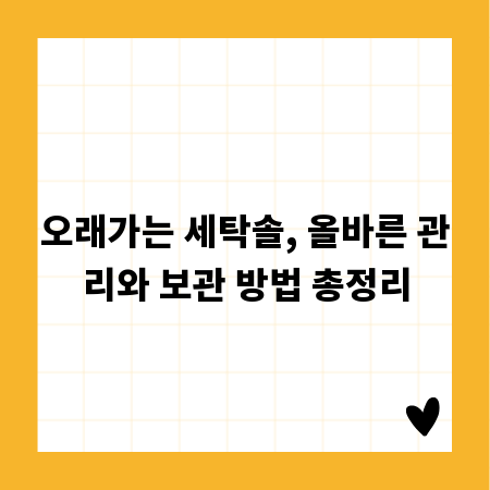 오래가는 세탁솔, 올바른 관리와 보관 방법 총정리