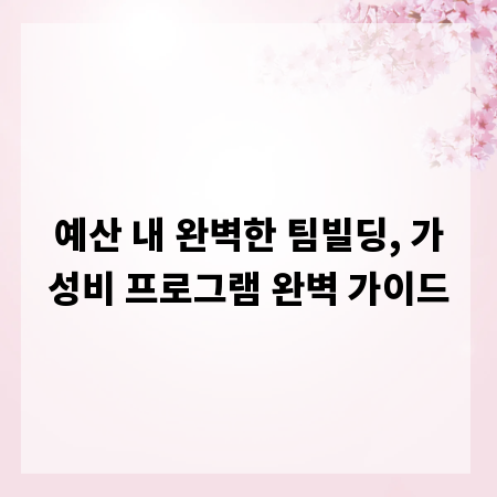 예산 내 완벽한 팀빌딩, 가성비 프로그램 완벽 가이드
