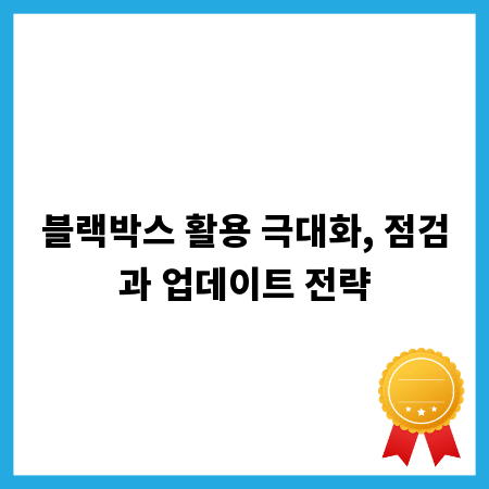 블랙박스 활용 극대화, 점검과 업데이트 전략