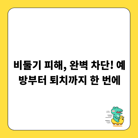 비둘기 피해, 완벽 차단! 예방부터 퇴치까지 한 번에