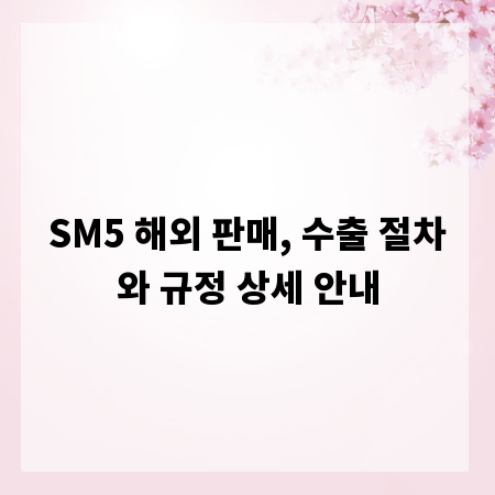 SM5 해외 판매, 수출 절차와 규정 상세 안내
