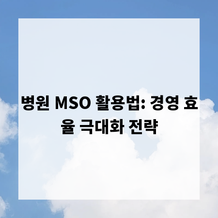 병원 MSO 활용법: 경영 효율 극대화 전략