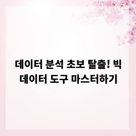 데이터 분석 초보 탈출! 빅데이터 도구 마스터하기