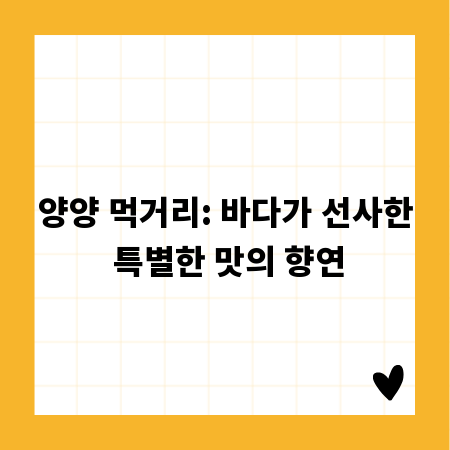 양양 먹거리: 바다가 선사한 특별한 맛의 향연