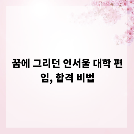 꿈에 그리던 인서울 대학 편입, 합격 비법