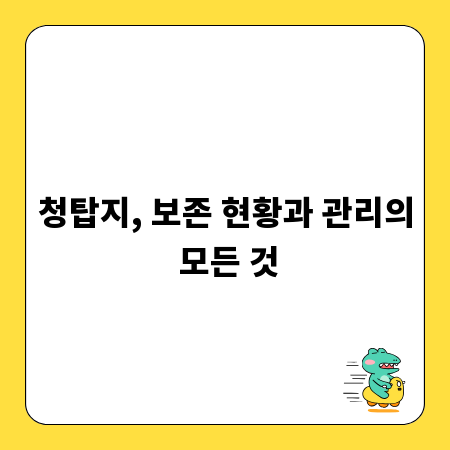 청탑지, 보존 현황과 관리의 모든 것
