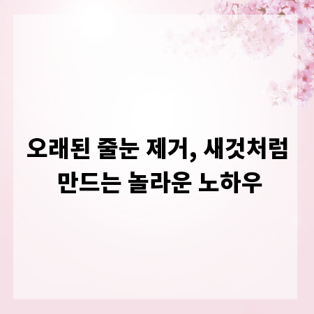오래된 줄눈 제거, 새것처럼 만드는 놀라운 노하우