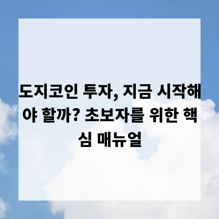도지코인 투자, 지금 시작해야 할까? 초보자를 위한 핵심 매뉴얼
