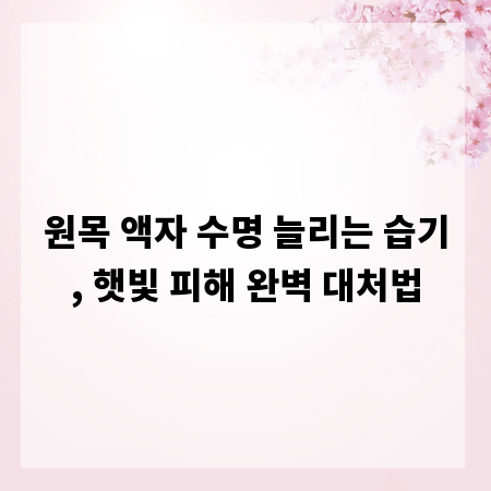 원목 액자 수명 늘리는 습기, 햇빛 피해 완벽 대처법