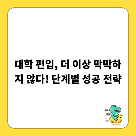대학 편입, 더 이상 막막하지 않다! 단계별 성공 전략
