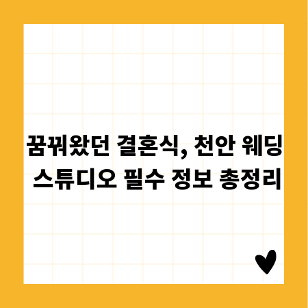 꿈꿔왔던 결혼식, 천안 웨딩 스튜디오 필수 정보 총정리
