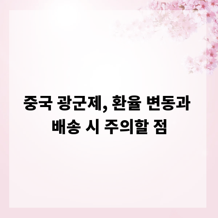 중국 광군제, 환율 변동과 배송 시 주의할 점