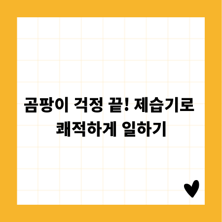 곰팡이 걱정 끝! 제습기로 쾌적하게 일하기