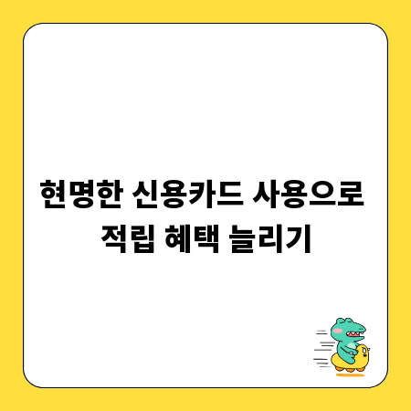 현명한 신용카드 사용으로 적립 혜택 늘리기