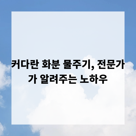 커다란 화분 물주기, 전문가가 알려주는 노하우