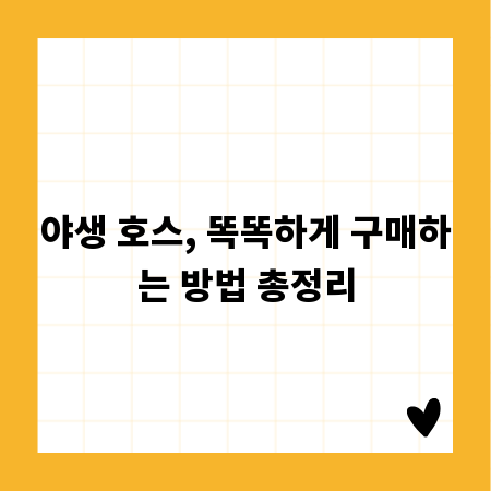 짚동가리쌩주, 숨겨진 효능과 구매 방법 완벽 가이드