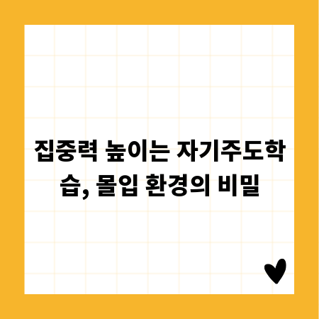 집중력 높이는 자기주도학습, 몰입 환경의 비밀