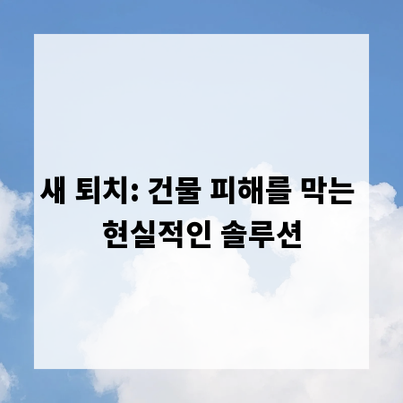 새 퇴치: 건물 피해를 막는 현실적인 솔루션