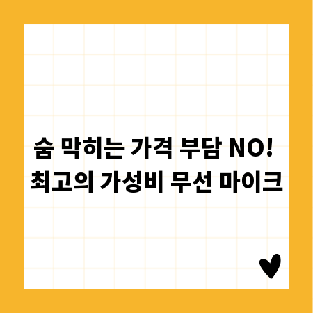 숨 막히는 가격 부담 NO! 최고의 가성비 무선 마이크