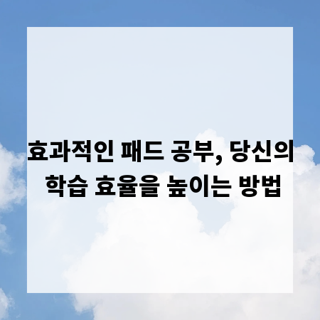 효과적인 패드 공부, 당신의 학습 효율을 높이는 방법