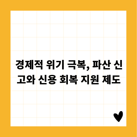 경제적 위기 극복, 파산 신고와 신용 회복 지원 제도