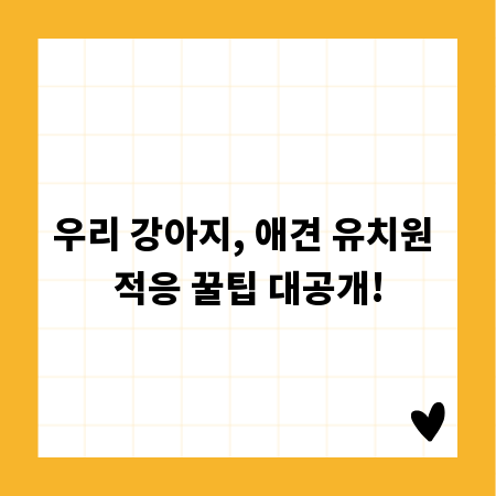 우리 강아지, 애견 유치원 적응 꿀팁 대공개!