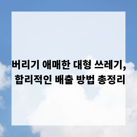 버리기 애매한 대형 쓰레기, 합리적인 배출 방법 총정리