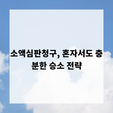 소액심판청구, 혼자서도 충분한 승소 전략