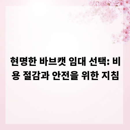 현명한 바브캣 임대 선택: 비용 절감과 안전을 위한 지침