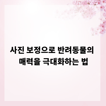 사진 보정으로 반려동물의 매력을 극대화하는 법