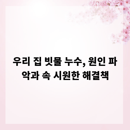우리 집 빗물 누수, 원인 파악과 속 시원한 해결책