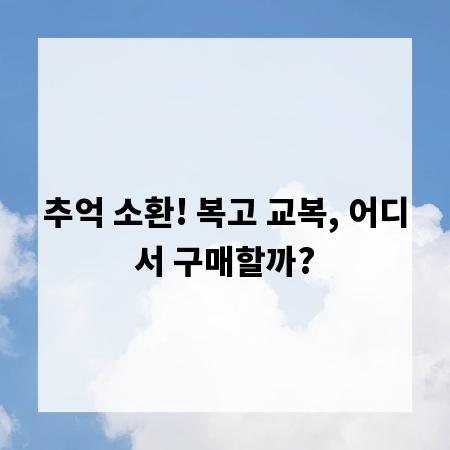 추억 소환! 복고 교복, 어디서 구매할까?