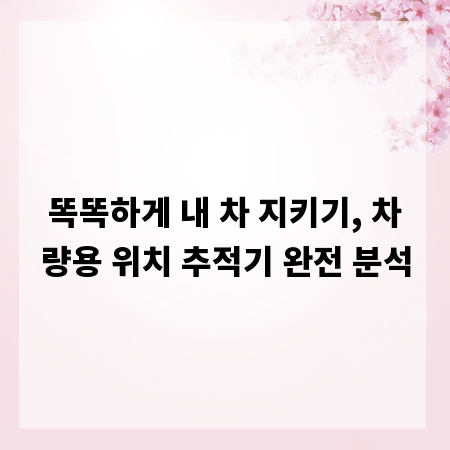 똑똑하게 내 차 지키기, 차량용 위치 추적기 완전 분석