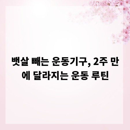 뱃살 빼는 운동기구, 2주 만에 달라지는 운동 루틴