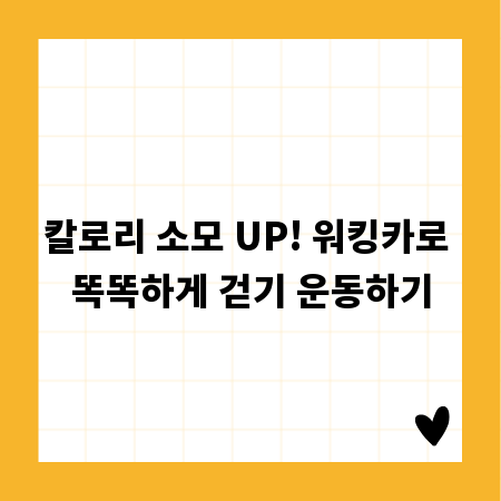 칼로리 소모 UP! 워킹카로 똑똑하게 걷기 운동하기