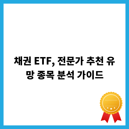 채권 ETF, 전문가 추천 유망 종목 분석 가이드