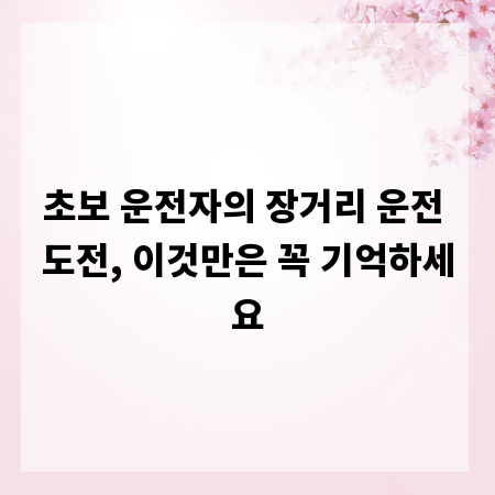 초보 운전자의 장거리 운전 도전, 이것만은 꼭 기억하세요