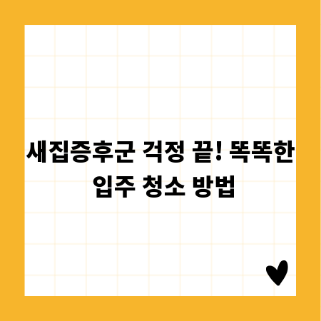 새집증후군 걱정 끝! 똑똑한 입주 청소 방법