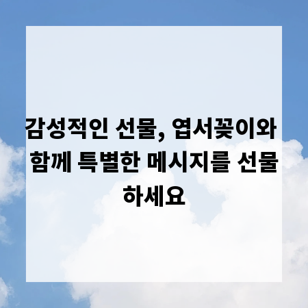 감성적인 선물, 엽서꽂이와 함께 특별한 메시지를 선물하세요