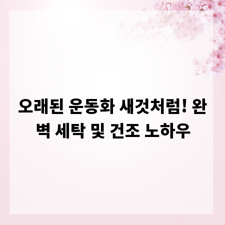 오래된 운동화 새것처럼! 완벽 세탁 및 건조 노하우