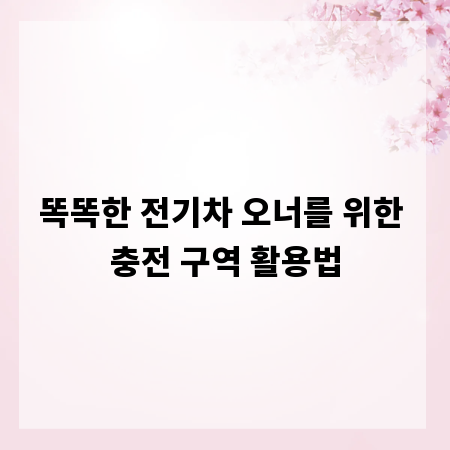똑똑한 전기차 오너를 위한 충전 구역 활용법