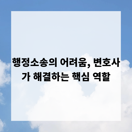 행정소송의 어려움, 변호사가 해결하는 핵심 역할