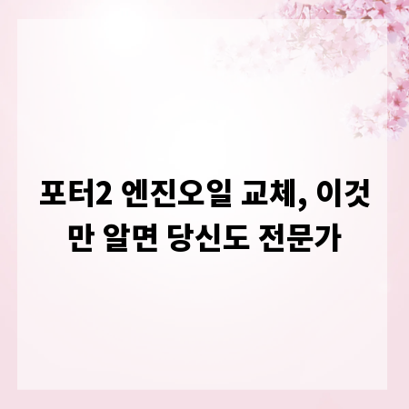 포터2 엔진오일 교체, 이것만 알면 당신도 전문가