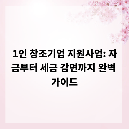 1인 창조기업 지원사업: 자금부터 세금 감면까지 완벽 가이드