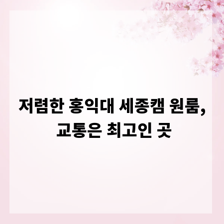 저렴한 홍익대 세종캠 원룸, 교통은 최고인 곳