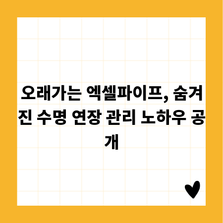 오래가는 엑셀파이프, 숨겨진 수명 연장 관리 노하우 공개