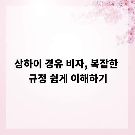 상하이 경유 비자, 복잡한 규정 쉽게 이해하기
