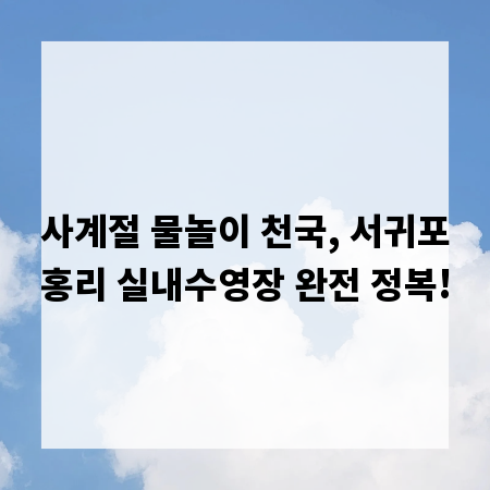 사계절 물놀이 천국, 서귀포홍리 실내수영장 완전 정복!