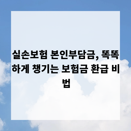 실손보험 본인부담금, 똑똑하게 챙기는 보험금 환급 비법