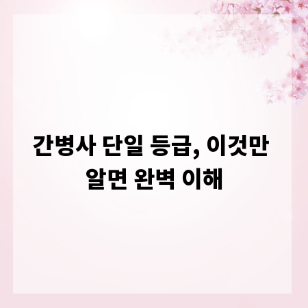 간병사 단일 등급, 이것만 알면 완벽 이해